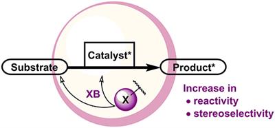 Supramolecular Halogen Bonds in Asymmetric Catalysis